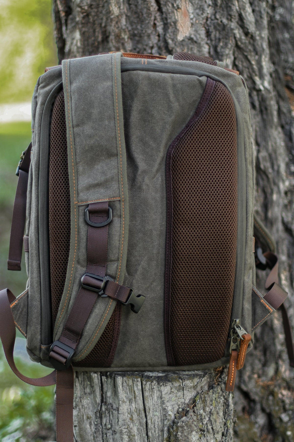 Back panel of the dark grey-green Algonquin against a tree trunk, showing breathable mesh shoulder straps, sternum strap and ventilated mesh back