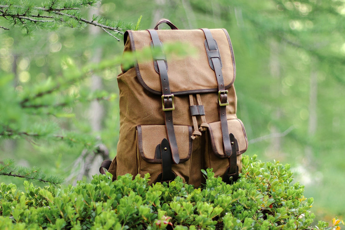 Khaki Calgary waxed canvas backpack on a forest mound of bilberry foliage with conifer trees softly blurred behind