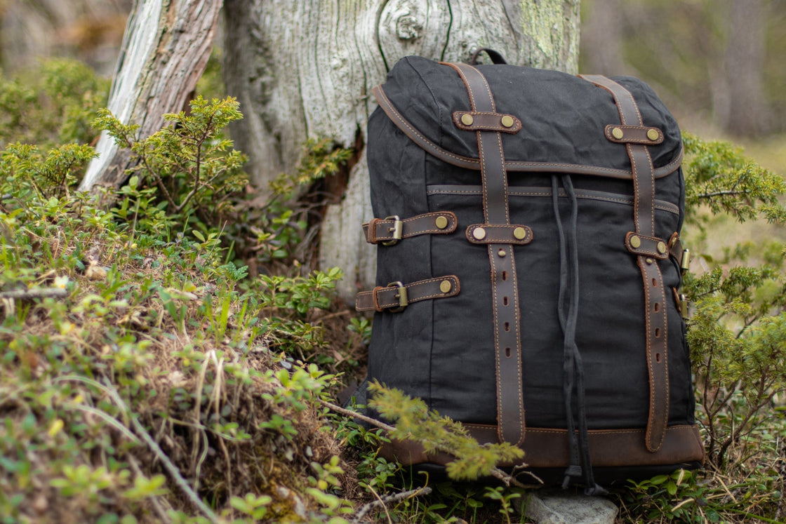 Vintage style backpack in black photographed beside an old tree stump in the forest, leather strap closures and brass buckles visible, DIYION Rostock