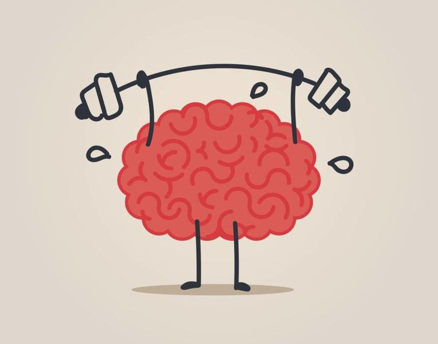 How DIY Gadgets Changed the World: The Importance of Wooden and Metal Puzzles for Cognitive Development - DIYION