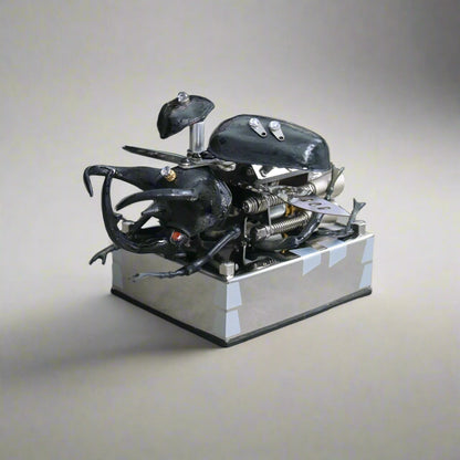 Toy beetle with mechanical components on a reflective surface, Diyion mechanical model kit DIY assembly engineering educational toy
