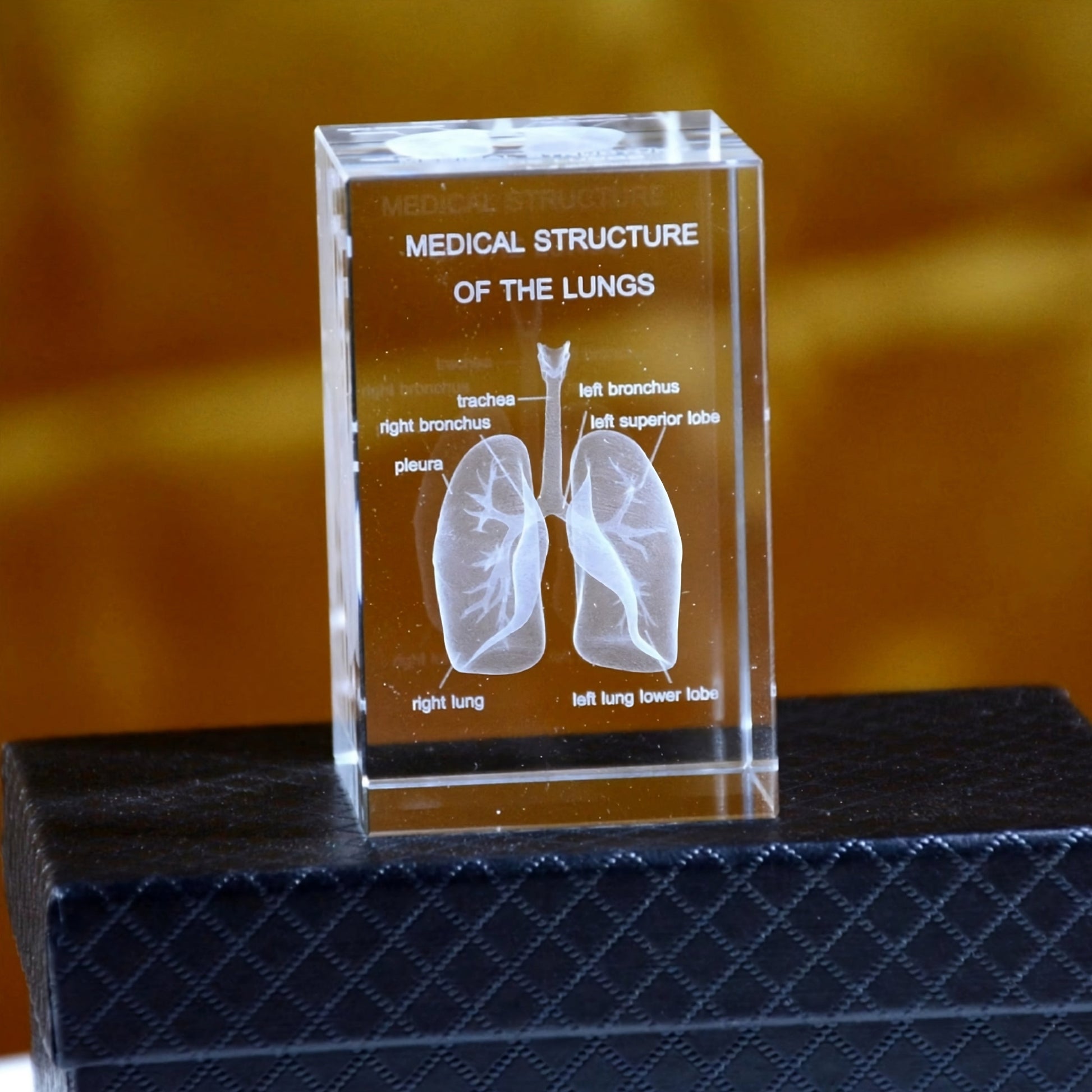 Diyion™ | 3D Crystal Anatomical Models - Diyion lungs